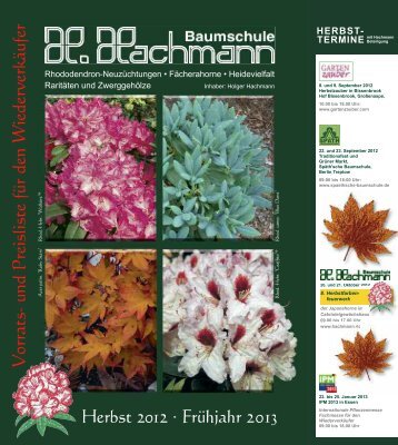 4. rhododendron fertigware - Baumschule Hachmann