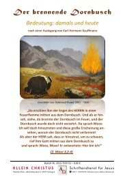 Der brennende Dornbusch - Bedeutung: damals und heute