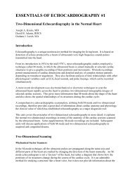 ESSENTIALS OF ECHOCARDIOGRAPHY #1 - Echo in Context