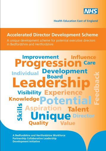 Accelerated Director Development Scheme Booklet