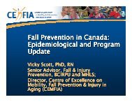 Fall Prevention in Canada: Epidemiological and Program Update