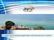 Incredible and Exciting Serengeti Safari with Tanzania Tours & Safaris