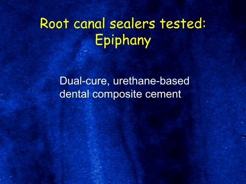 Root canal sealers