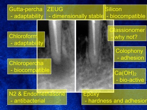 Root canal sealers