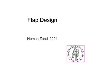 Flap Design