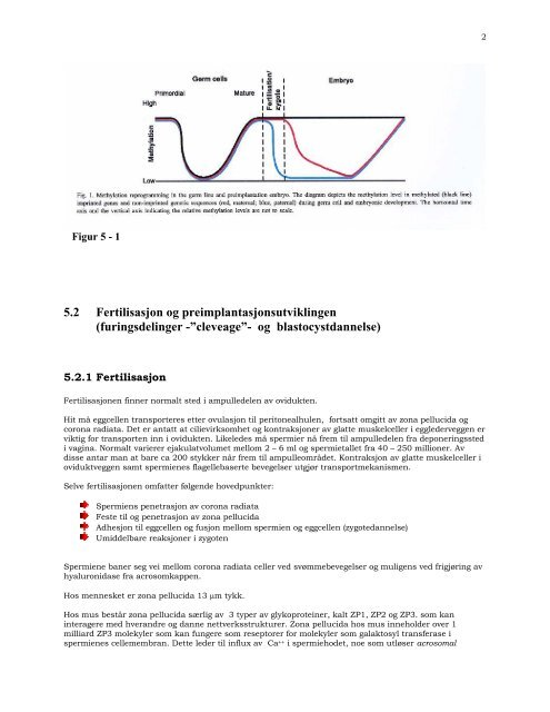 PDF-Mol-utv-bio-stamceller-Sigurd From-april-2004.pdf