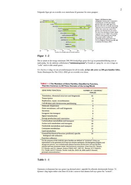 PDF-Mol-utv-bio-stamceller-Sigurd From-april-2004.pdf