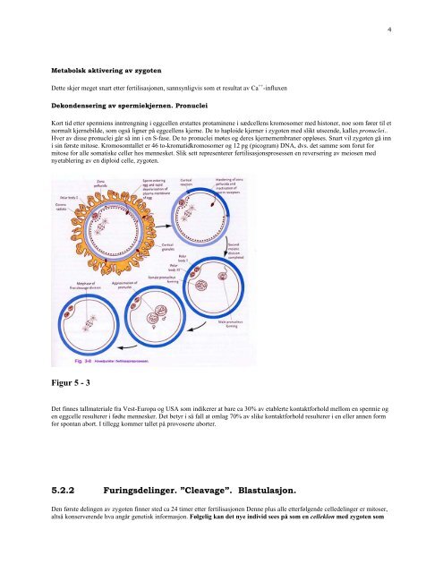 PDF-Mol-utv-bio-stamceller-Sigurd From-april-2004.pdf