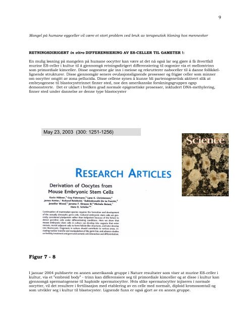 PDF-Mol-utv-bio-stamceller-Sigurd From-april-2004.pdf