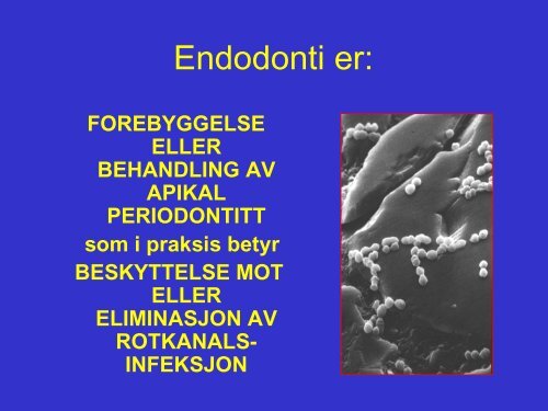 Endodontiske Materialer