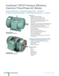 IronHorse® MTCP Premium Efficiency Cast-Iron Three-Phase AC ...