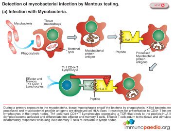 Download combined PDF with all graphics - Immunopaedia