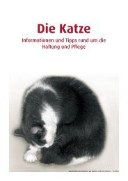 Die Katze | PDF-Datei (720 KB)