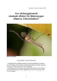 Ger biologisk stickmyggskontroll i Dalälven - Mygg.se
