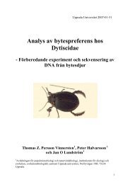 Molekylära studier av maginnehåll på akvatiska insekter - Mygg.se