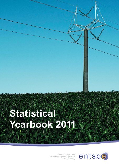 Statistical Yearbook 2011 - Photon