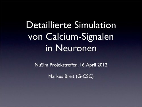 Detaillierte Simulation von Calcium-Signalen in Neuronen