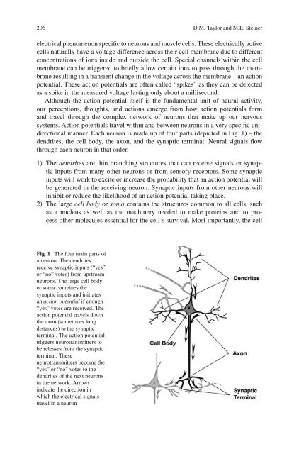 Brainâ€“Computer Interfaces - Index of