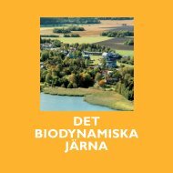 DET BIODYNAMISKA JÄRNA