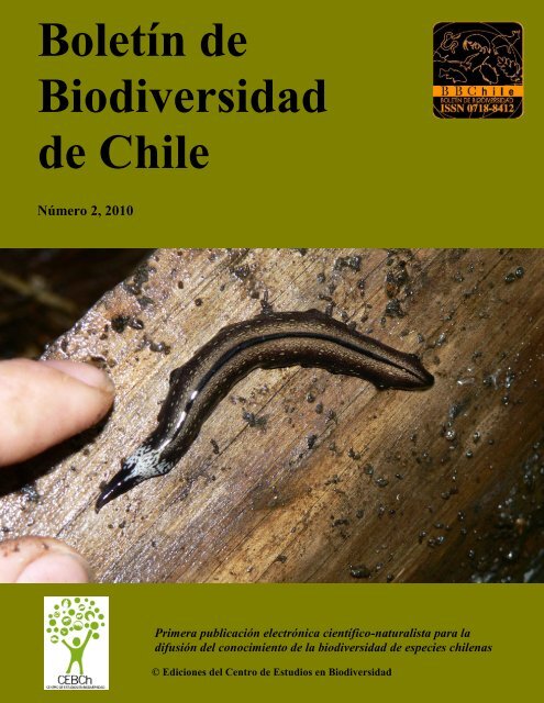 PDF - boletÃ­n de biodiversidad de chile