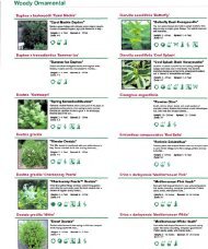 Trees and Shrubs D-F - Terra Flora Landscaping