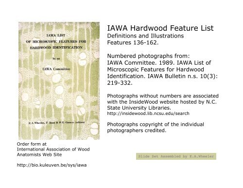 IAWA Hardwood Feature List - Inside Wood - Search the Inside ...