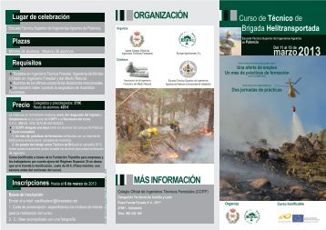 TRIPTICO COITF.FH11 - redforesta