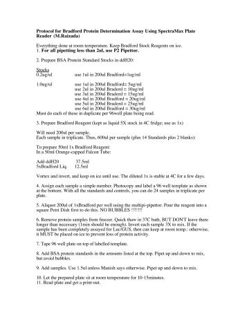 24. Bradford protocol for spectramax.pdf