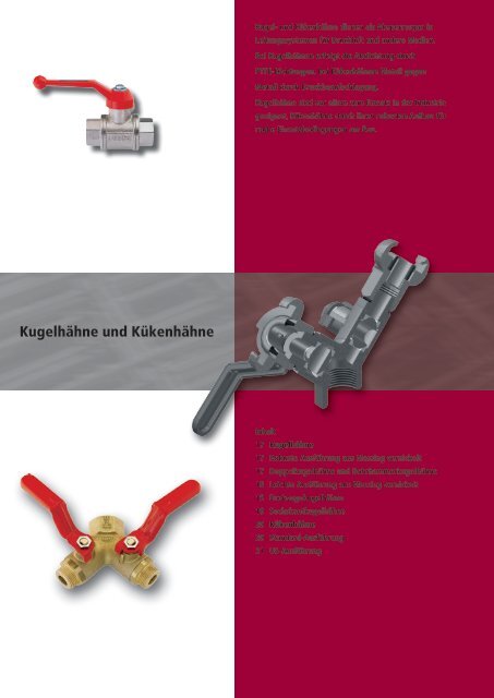 Kugel- und Kükenhähne.pdf