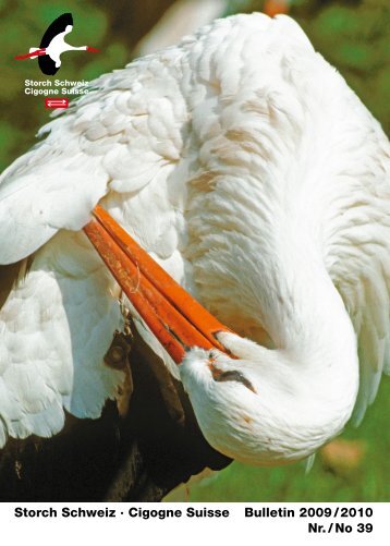 Storch Schweiz Â· Cigogne Suisse Bulletin 2009 / 2010 Nr. / No 39