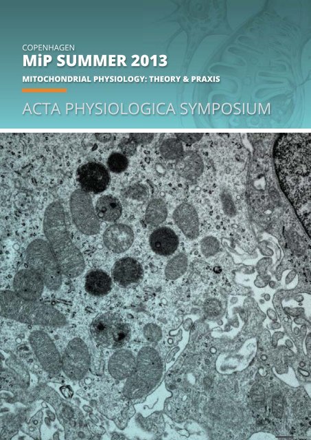 MiPsummer Programme pdf - Mitochondrial Physiology Society