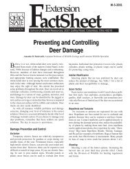Preventing and Controlling Deer Damage - Ohioline