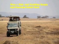 Kenya and Tanzania safari packages