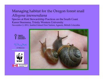 Managing habitat for the Oregon Forestsnail Allogona townsendiana