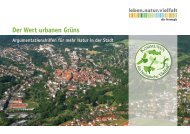 Der_Wert_urbanen_Gruens