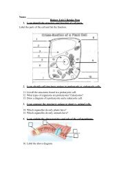 Biology Unit 2 Retake Prep 1. I can identify the structure and function ...