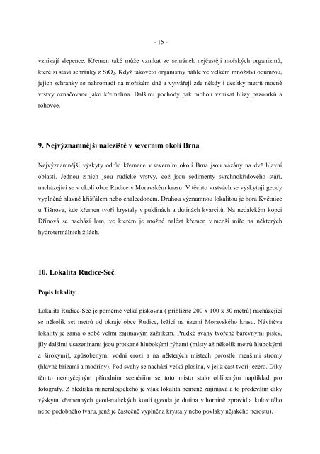 Text prÃ¡ce ve formÃ¡tu PDF