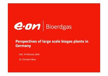 Perspectives of large scale biogas plants in Germany
