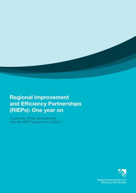 Regional Improvement and Efficiency Partnerships - One East ...