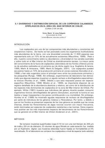 Diversidad y distribuciÃ³n espacial de los copÃ©podos ... - Shoa