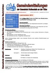 Download - Gemeinde Hollenstein an der Ybbs