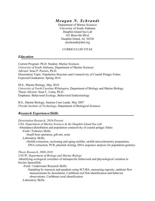 dissertation paper dofin dissertation paper dofin