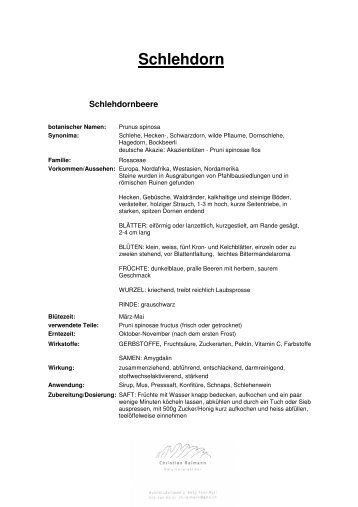 Schlehdorn-Monografie