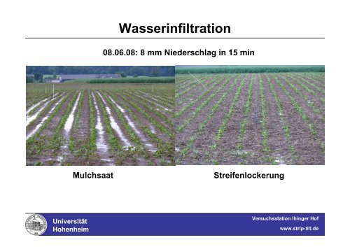 Strip-Till auf der Versuchsstation Ihinger Hof