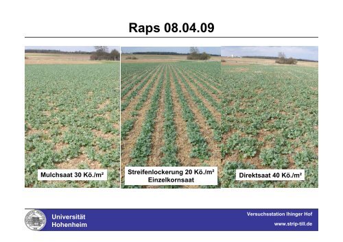 Strip-Till auf der Versuchsstation Ihinger Hof