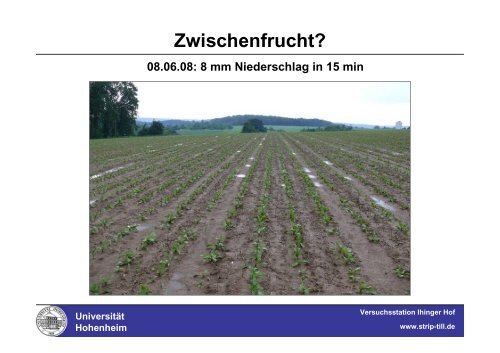 Strip-Till auf der Versuchsstation Ihinger Hof