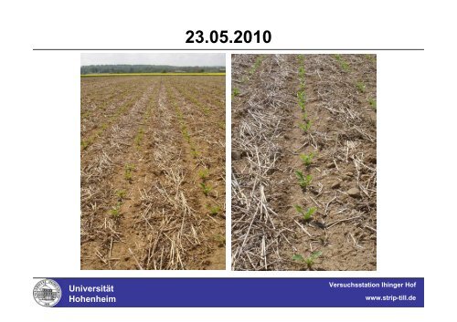 Strip-Till auf der Versuchsstation Ihinger Hof