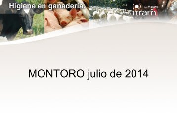 MONTORO julio de 2014