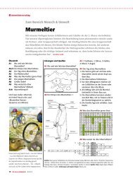 Murmeltier - Zum Bereich Mensch & Umwelt - schulpraxis
