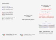 Info-Flyer - Staatliche Berufsschule I Fürth